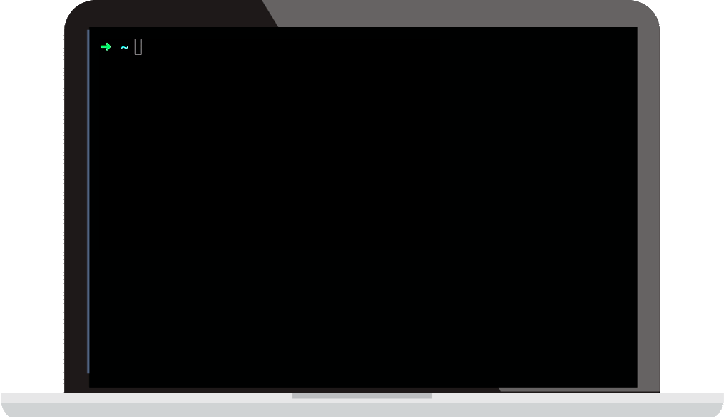 A Macbook screen running DNS Tools